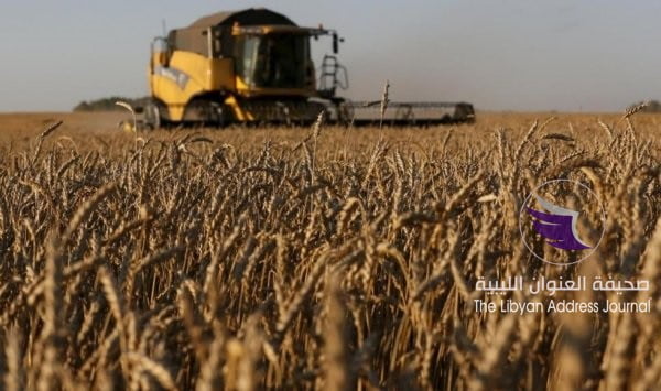 الجزائر تطرح مناقصة لشراء كمية اسمية 50 ألف طن من علف الشعير - الجزائر تطرح مناقصة عالمية لاستيراد 50 ألف طن من القمح