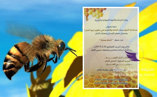 ندوة ببنغازي حول المساهمة في تطوير تربية النحل - honeybee 2