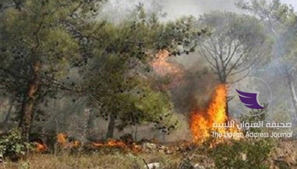 أمن شحات يناشد المواطنين تجنب إشعال النيران تفاديًا لحدوث حرائق بالغابات - 809