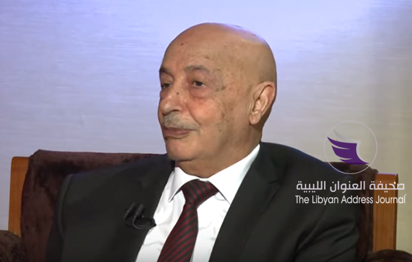رئيس مجلس النواب: لا يوجد صراع على السلطة في ليبيا والجيش يتعامل باحترافية لتحرير طرابلس - Screenshot 24
