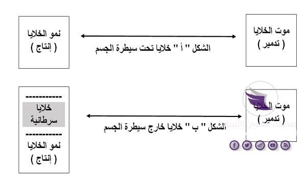 استشاري الأورام الدكتور "علي الزناتي" يدعو إلى ضرورة استشارة الطبيب عند حدوث أي عارض صحي 5 استشاري الأورام الدكتور "علي الزناتي" يدعو إلى ضرورة استشارة الطبيب عند حدوث أي عارض صحي - 66654713 464717794360633 1874063341287112704 n
