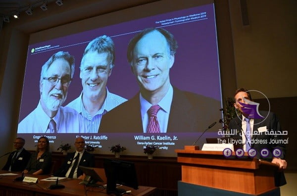 أمريكيان وبريطاني يفوزون بجائزة الطب في افتتاح موسم نوبل 2019 - 024bce5c43618c6b02e5faa9ff6fb3501828c322