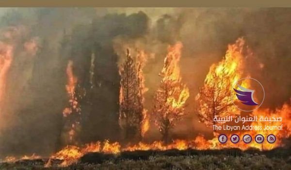 حرائق ضخمة تثير الرعب في لبنان وتتسبب في حالات نزوح جماعية 5 حرائق ضخمة تثير الرعب في لبنان وتتسبب في حالات نزوح جماعية - EG5xW7 WkAE4iEl