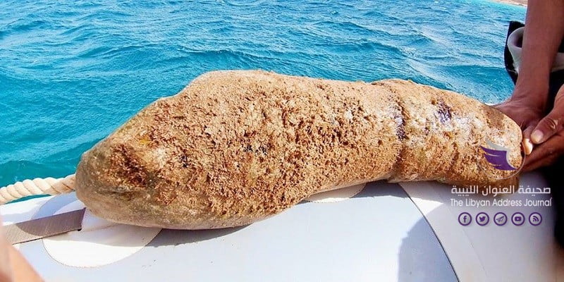 بالصور.. اكتشاف أثري جديد تحت الماء بسوسة - 74594349 2530332990523766 318942437449924608 o