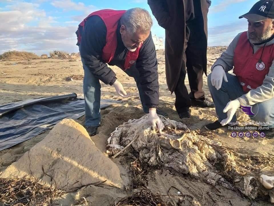 العثور على جثتين لمهاجرين غير شرعيين غرب بنغازي - 80540022 2542066202579265 1854850943254790144 n