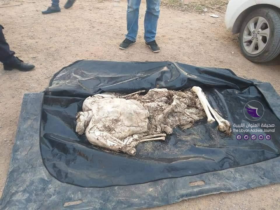 العثور على جثتين لمهاجرين غير شرعيين غرب بنغازي - 81374400 2542065862579299 9007523516181905408 n