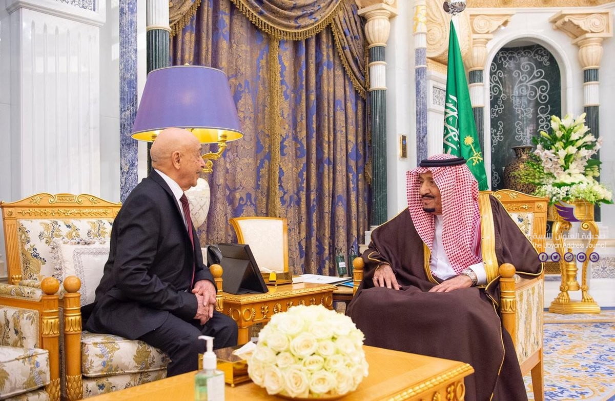 رئيس مجلس النواب يلتقي خادم الحرمين الشريفين في الرياض -