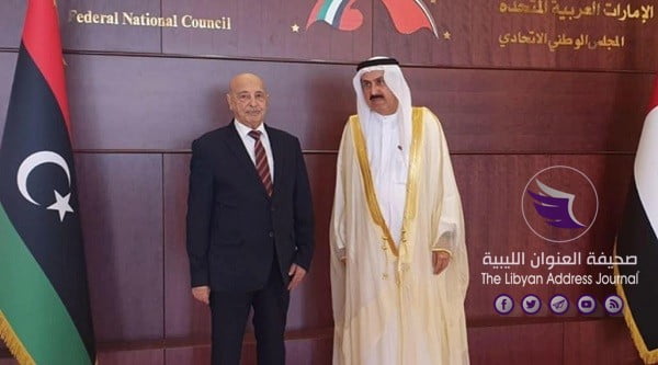 المستشار عقيلة صالح يلتقي رئيس المجلس الوطني الإتحادي بالإمارات - 4 22 1132x670 1