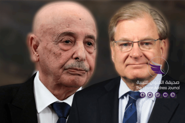 تأكيد أمريكي لرئيس مجلس النواب على رفض التدخلات العسكرية الأجنبية في ليبيا - 5eef659d4c59b7598b46a03a removebg preview