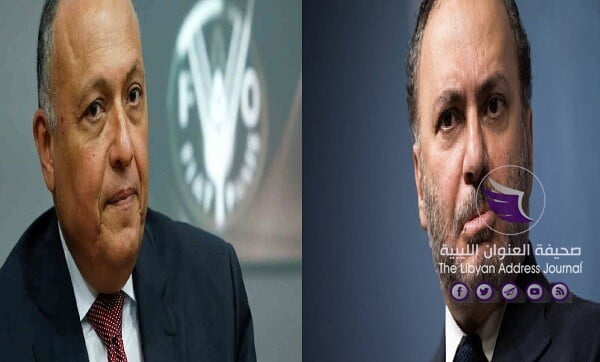وزيرا خارجية مصر والإمارات يحذّران من التحريض التركي لشن حرب في سرت - Untitled