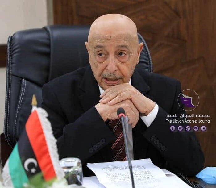 في مصر.. عقيلة صالح يلتقي وفد أمريكي لبحث سبل تنفيذ "إعلان القاهرة" - 117310944 121870529612999 4553382825667479637 n