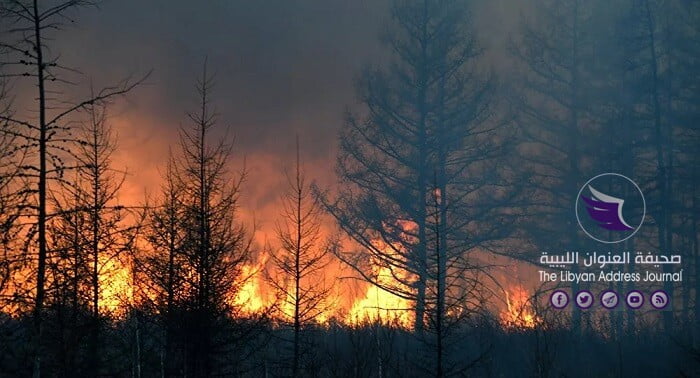 حريق هائل يلتهم المنازل والأشجار في لبنان - New Bitmap Image