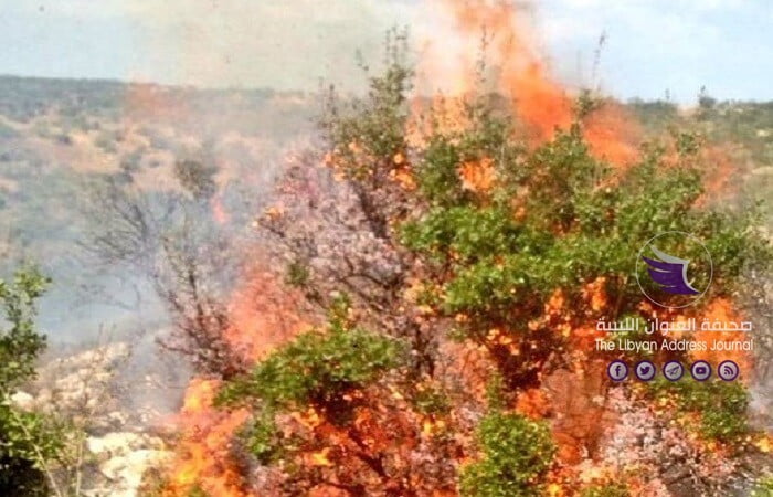 الحرائق تهدد موسوم الزيتون في لبنان -