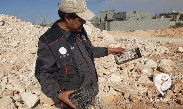 زيادة حالات اللشمانيا في بني وليد - مشروع جديد 2021 11 27T095654.757