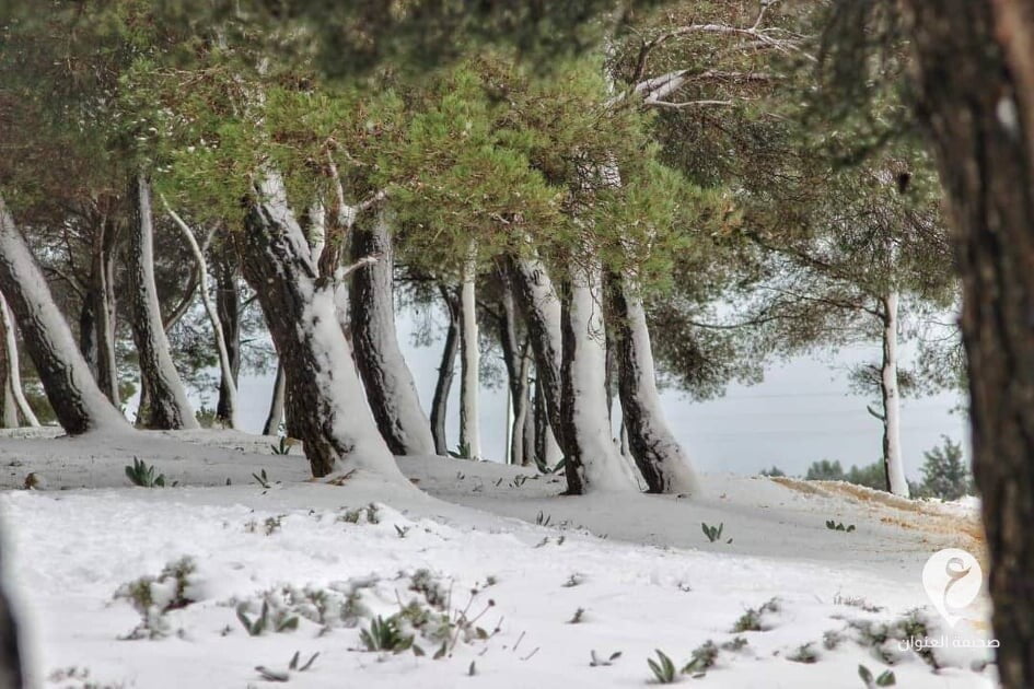 بالصور.. الجبل الأخضر يتحول لبساط أبيض بفعل الثلوج - 268013449 677302776615530 37243000410100881 n