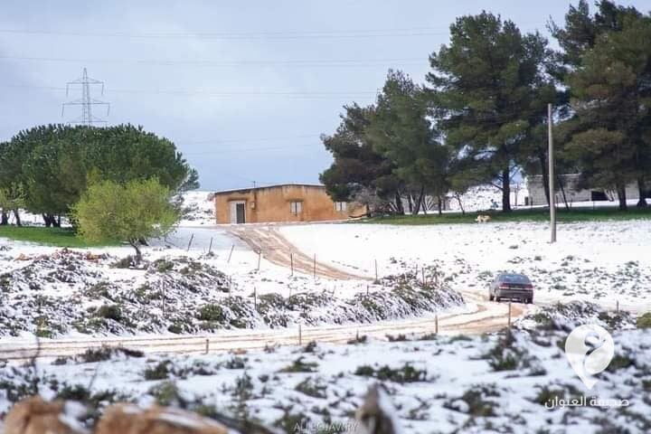 بالصور.. الجبل الأخضر يتحول لبساط أبيض بفعل الثلوج - 269712237 4669620599780529 6047120407485087177 n
