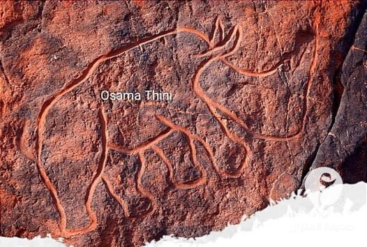 وحيد القرن المنقرض في ليبيا يظهر نقشا في الصحراء الليبية - 269817526 4725605154151884 1629352186301552050 n