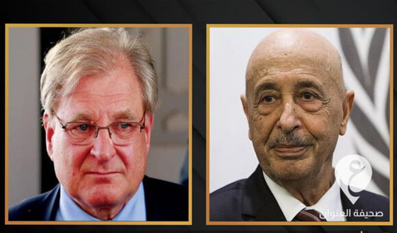 مخاطبا نورلاند.. المستشار صالح: مجلس النواب يرفض الإملاءات الخارجية والتدخل في قراراته - PSD العنوان 24