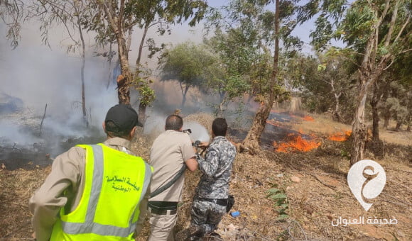 صور| إخماد حريق شب في أشجار بمجمع الكليات في جامعة بنغازي - PSD العنوان 2022 05 28T193402.327