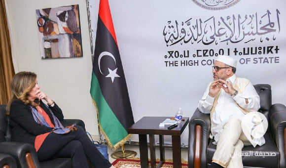 المشري ووليامز يناقشا آخر التطورات السياسية - مشروع جديد 48