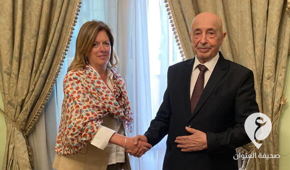 المستشار صالح يلتقي وليامز بالقاهرة ويؤكد على ضرورة إنهاء العمل على المسار الدستوري - PSD العنوان 17