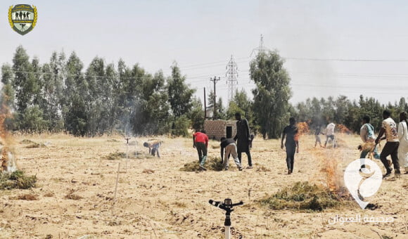 حرق مزارع "ماريجوانا" في سبها تحت إشراف الكتيبة العاشرة مشاة - PSD العنوان 2022 08 21T000537.640