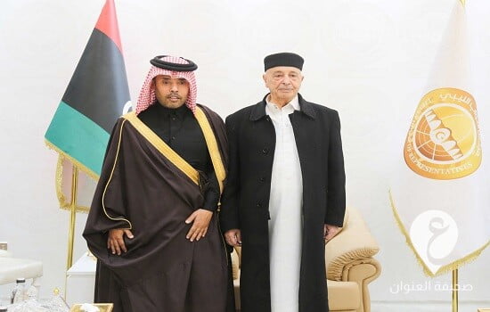 المستشار صالح يلتقي السفير القطري في القبة - 316285899 221062476926410 4390296938345100115 n