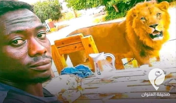 منتقدة مالكيها..بوقعيقيص تعلق على حادثة مقتل شخص سوداني إثر افتراسه من أسود في بنغازي - 1 2