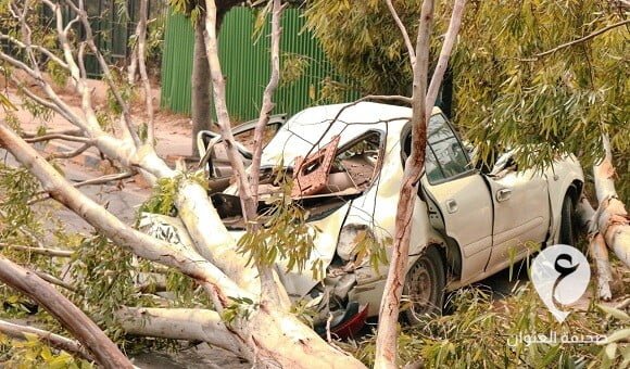 وفاة شخص في طرابلس إثر سقوط شجرة على سيارته - 346857824 792818095445518 6242809421925796499 n