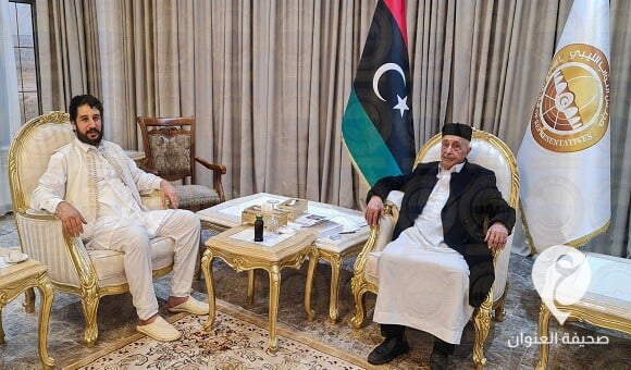 المستشار صالح يبحث مع دومة جهود إجراء الانتخابات - 350949580 6214224672027036 7646701315703493120 n