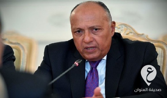 شكري: نتطلع لإصدار القوانين الانتخابية في ليبيا وإجراء الانتخابات الرئاسية والبرلمانية - PSD العنوان 4