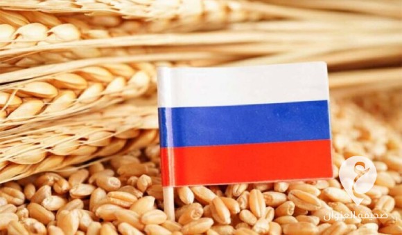 تضاعف مشتريات ليبيا من الحبوب الروسية خلال يوليو وأغسطس - PSDالعنوان 9 2