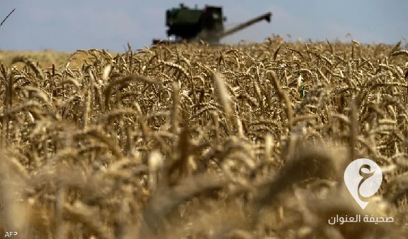 خلال الشهرين الماضيين..ليبيا في المركز الخامس كأكثر مشترين للحبوب والقمح من روسيا - العنوان الاخير 4