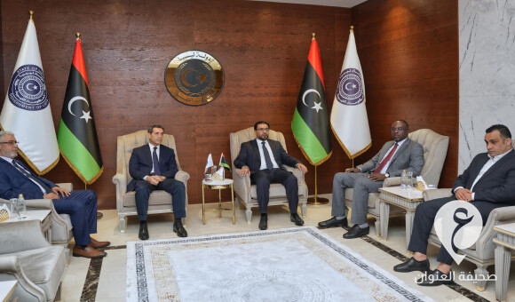 حماد والسائح يبحثان استكمال الانتخابات البلدية - PSDالعنوان 2023 11 15T172233.353