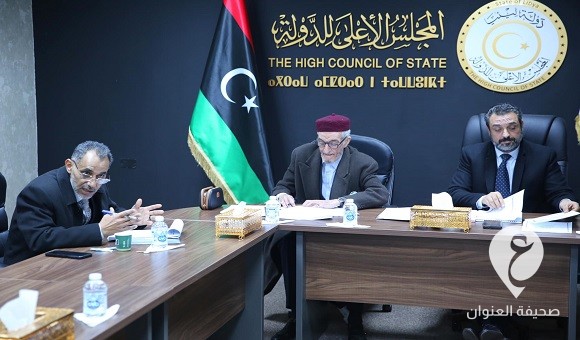 المجلس الأعلى للدولة يناقش مشروع قانون الأمن الداخلي - 33