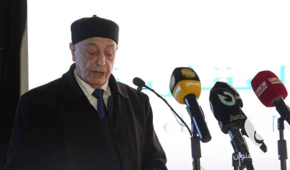 عقيلة: الإنجازات في بنغازي ستبعث رسالة للعالم بأن عجلة التنمية في ليبيا بدأت بجدية - PSDالعنوان 38