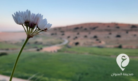 طقس دافئ على أغلب مناطق ليبيا - PSDالعنوان 42 1