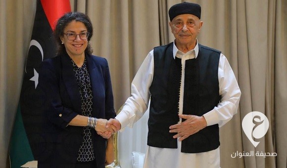 خلال لقائها المستشار صالح.. خوري: لابد من بناء التوافق بين جميع الأطراف لإجراء الانتخابات - 445497858 488838930148762 4597097521101993103 n