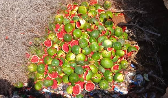 توكرة: إعدام شحنة "دلاع" قادمة من مصر لعدم صلاحيتها