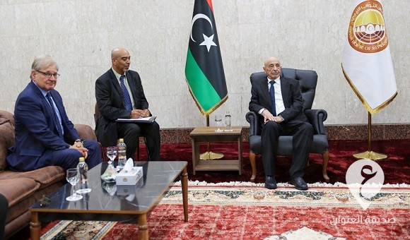 المستشار صالح ونورلاند يناقشان انتخابات رئاسة مجلس الدولة - 454399658 526672493032072 3409697449903231988 n