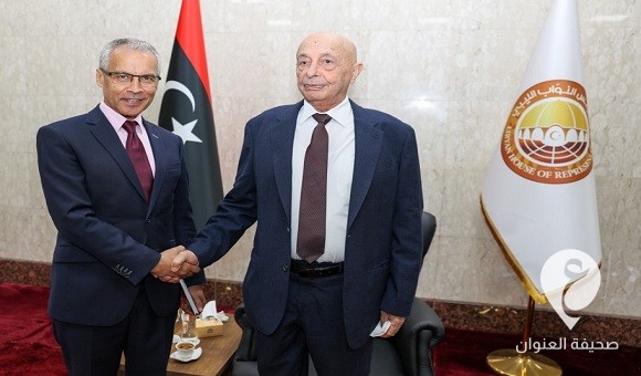 المستشار صالح والسفير الفرنسي يبحثان توحيد المؤسسات وإجراء الانتخابات - 464052228 577550454610942 2186491976529129258 n