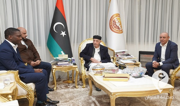 المستشار صالح يتلقى رسالة من رئيس جنوب أفريقيا لتعزيز العلاقات الثنائية - 471123930 1108768124376962 4220903603663161695 n