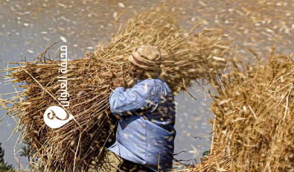 السيسي: مصر تحتاج 20 مليار دولار سنويا لتوفير المنتجات البترولية 2 السيسي: مصر تحتاج 20 مليار دولار سنويا لتوفير المنتجات البترولية - psd elenwan 84 1