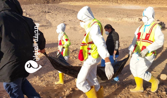 انتشال 11 جثة من مقبرة جماعية لمهاجرين غير شرعيين في الكفرة 