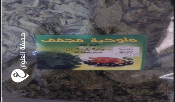 الرقابة على الأغذية يرفض شحنة ملوخية غير مطابقة للمواصفات  1 الرقابة على الأغذية يرفض شحنة ملوخية غير مطابقة للمواصفات  - psd elenwan 58