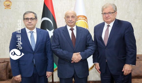 نورلاند يعلن دعم بلاده للعملية السياسية ويدعو للتوصل إلى اتفاق بشأن الميزانية الموحدة