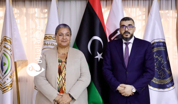 التومي يبحث مع رئيسة بعثة الأمم المتحدة مسار التحول إلى اللامركزية - psd elenwan 1 6