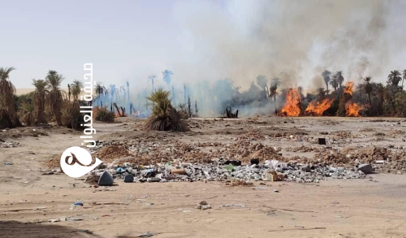 فرق الإطفاء تصل إلى ربيانة بعد قطع 200 كيلومتر لمكافحة حريق غابة النخيل - psd elenwan 20