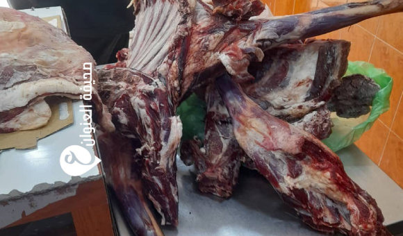 مصادرة لحوم ومواد غذائية غير صالحة خلال حملة تفتيشية في سرت - psd elenwan 2 34