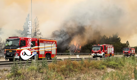 حرائق غابات قرب القدس تجبر الاحتلال على طلب مساعدات دولية - psd elenwan 2025 05 01T131100.232